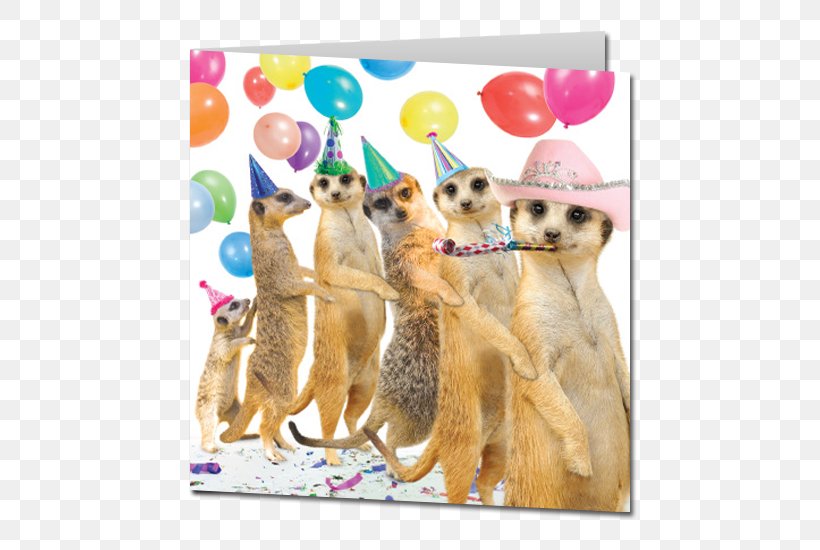Meerkat Wedding Invitation Greeting & Note Cards Birthday Cake, PNG, 550x550px, Meerkat, Aleksandr Orlov, Birthday, Birthday Cake, Birthday Card Download Free