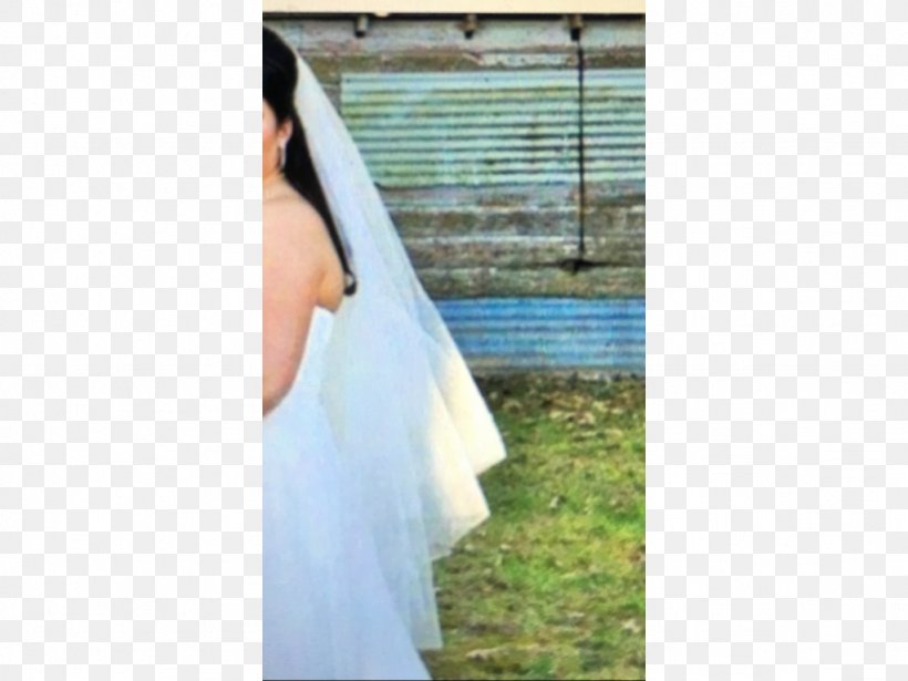 Wedding Dress Veil Bride Gown, PNG, 1024x768px, Wedding Dress, Bridal Accessory, Bridal Clothing, Bridal Veil, Bride Download Free