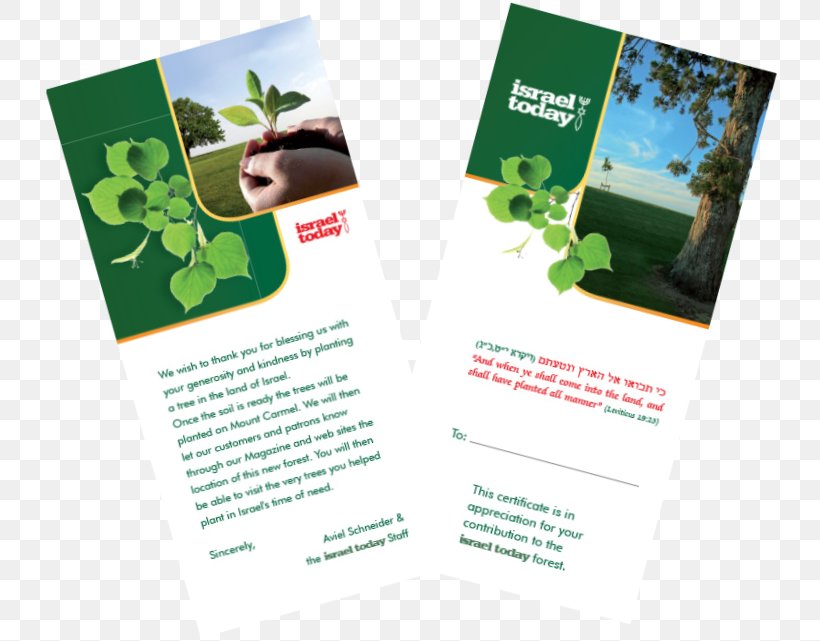 Advertising Product Design Brand, PNG, 734x641px, Advertising, Brand, Brochure, Green Download Free