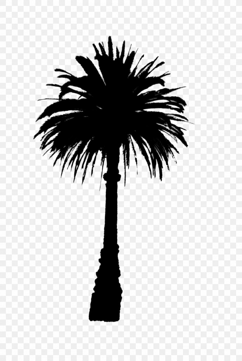 Asian Palmyra Palm Date Palm Line Palm Trees Silhouette, PNG, 1600x2381px, Asian Palmyra Palm, Arecales, Attalea Speciosa, Black, Blackandwhite Download Free
