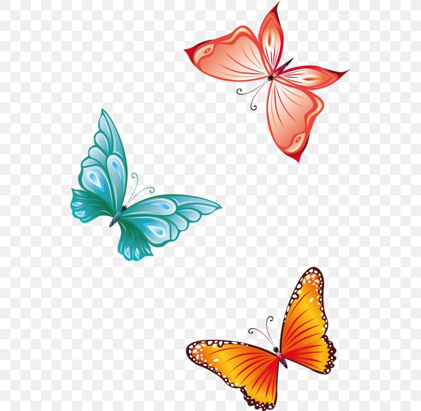 Butterfly Insect Clip Art, PNG, 546x800px, Butterfly, Brush Footed Butterfly, Butterflies And Moths, Document, Greta Oto Download Free