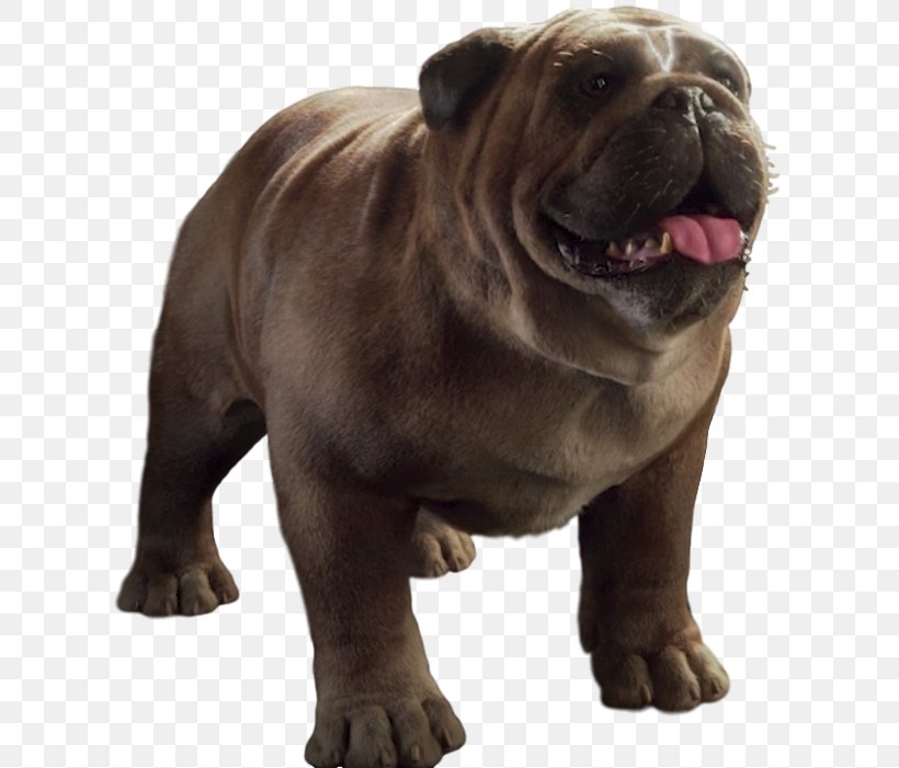 Dorset Olde Tyme Bulldogge Lockjaw Toy Bulldog Inhumans Laufey, PNG, 629x701px, Dorset Olde Tyme Bulldogge, Bulldog, Carnivoran, Character, Comics Download Free