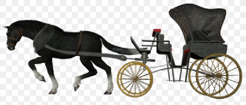 Horse Carriage Calèche Clip Art, PNG, 800x351px, Horse, Bicycle Accessory, Bridle, Carriage, Carrosse Download Free