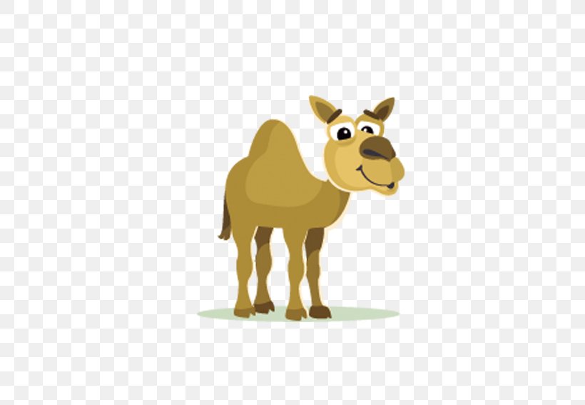 Camel Cartoon Clip Art, PNG, 567x567px, Bactrian Camel, Camel, Camel Like Mammal, Cattle Like Mammal, Deer Download Free
