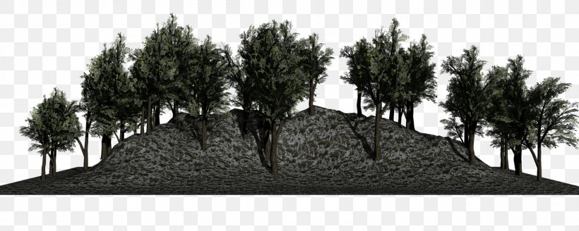Forest Desktop Wallpaper Tree, PNG, 1600x640px, Forest, Animation, Biome, Black And White, Blog Download Free