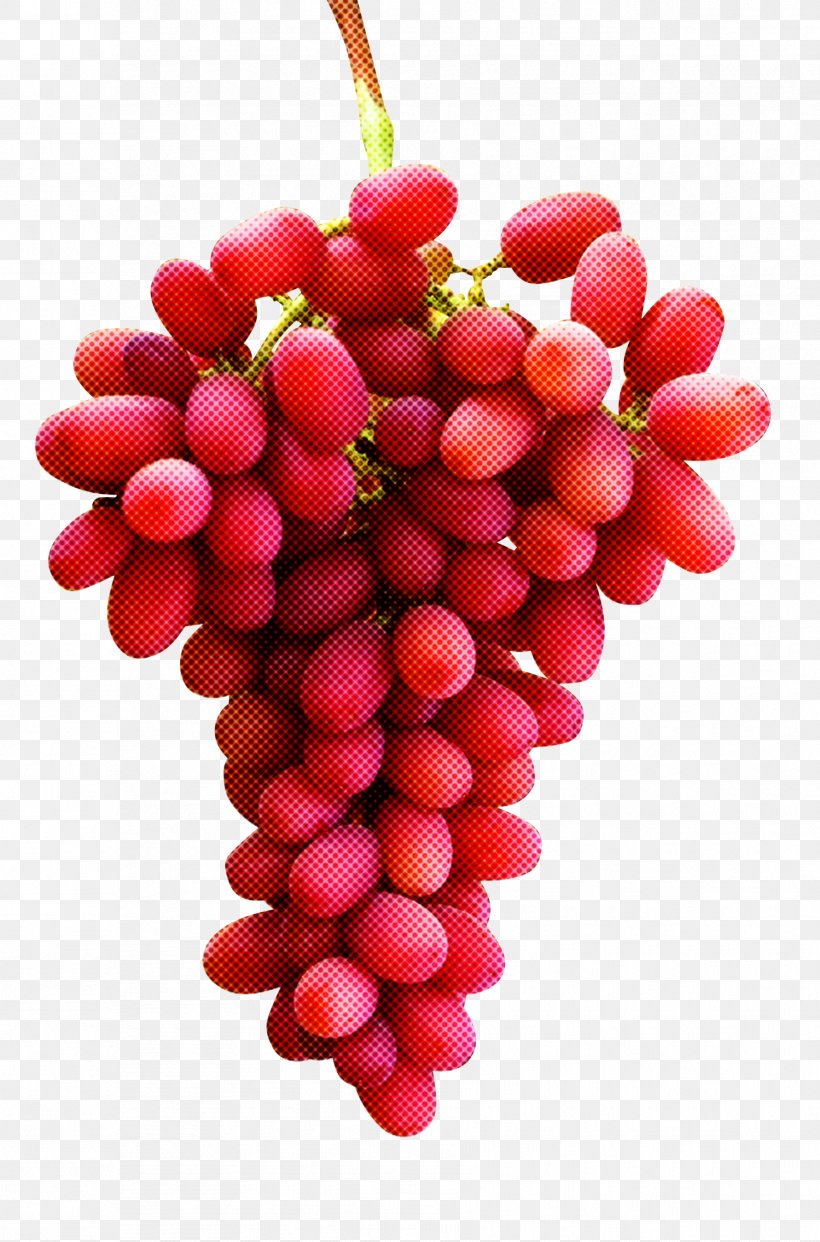 Fruit Seedless Fruit Plant Red Food, PNG, 1781x2698px, Fruit, Food, Grape, Natural Foods, Pink Peppercorn Download Free