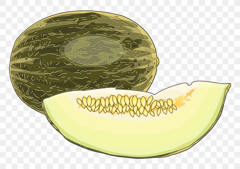 Galia Muskmelon Honeydew Cantaloupe Melon, PNG, 3508x2480px, Watercolor, Cantaloupe, Cucumis, Fruit, Galia Download Free