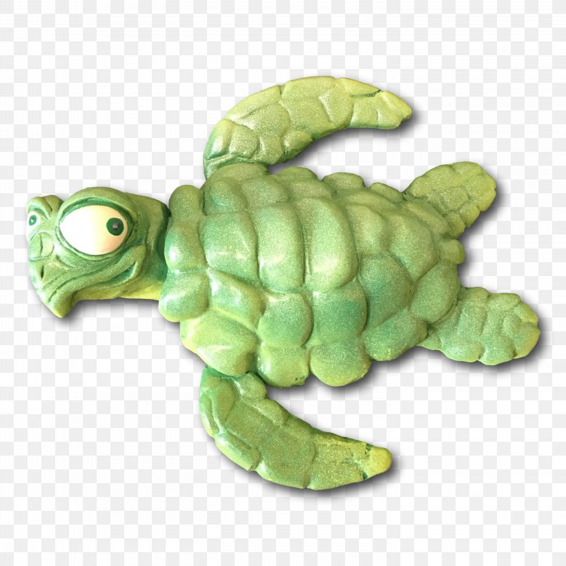 Green Sea Turtle Tortoise Flipper, PNG, 2952x2953px, Sea Turtle, Eye, Flipper, Green Sea Turtle, Gun Download Free