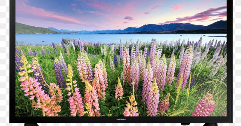 Samsung J5000 1080p LED-backlit LCD Television, PNG, 1200x630px, Samsung, English Lavender, Flower, Grass Family, Highdefinition Television Download Free