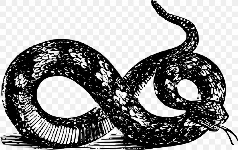 Snake Libertarianism Gadsden Flag Clip Art, PNG, 1600x1013px, Snake, Black And White, Gadsden Flag, Kingsnakes, Libertarianism Download Free