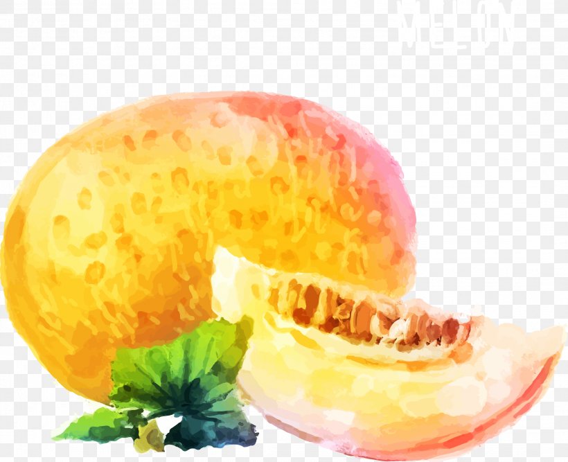 Watercolor Painting Cantaloupe Melon, PNG, 2143x1744px, Watercolor Painting, Auglis, Cantaloupe, Diet Food, Food Download Free