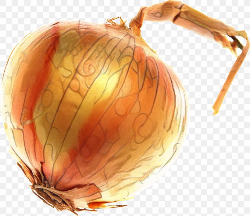 Yellow Onion Shallots Pumpkin Calabaza Gourd, PNG, 2280x1970px, Yellow Onion, Allium, Amaryllis Family, Calabaza, Food Download Free