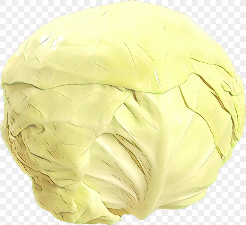 Yellow, PNG, 850x778px, Cartoon, Cabbage, Food, Wild Cabbage, Yellow Download Free