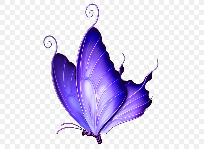 Butterfly Pink Clip Art, PNG, 512x600px, Butterfly, Blue, Color, Document, Flower Download Free