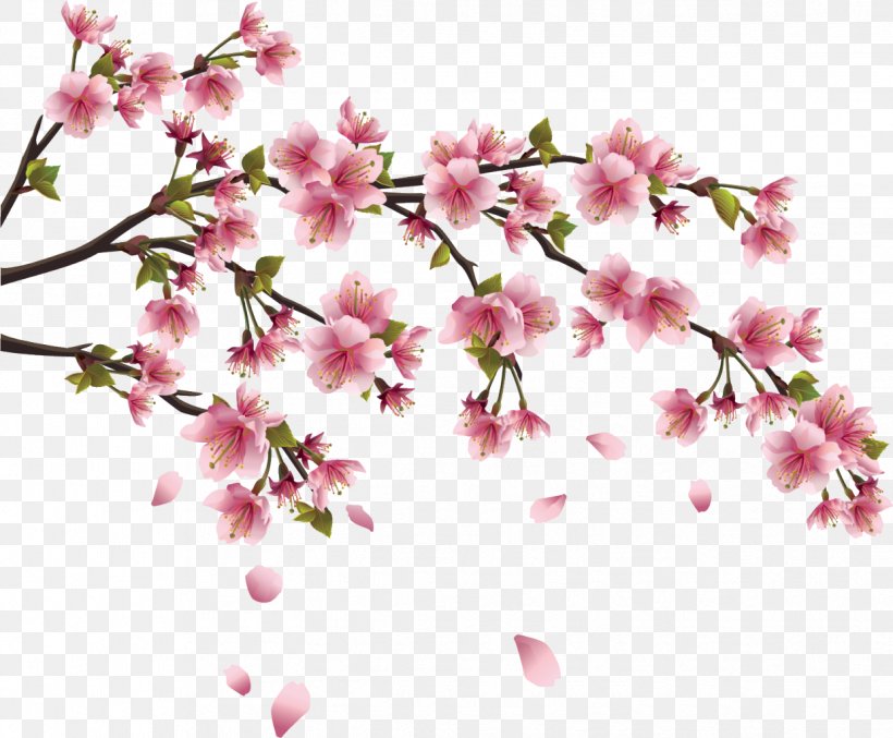 Cherry Blossom Paper Wall Decal Branch, PNG, 1239x1024px, Cherry Blossom, Blossom, Branch, Cherry, Decal Download Free