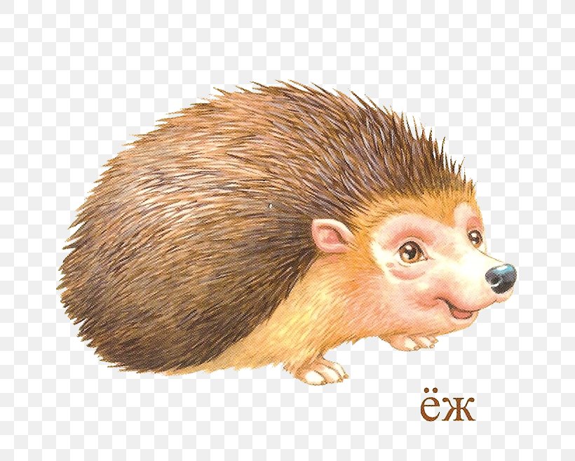 Domesticated Hedgehog European Hedgehog Clip Art, PNG, 684x657px, Domesticated Hedgehog, Animal, Common Opossum, Digital Image, Drawing Download Free