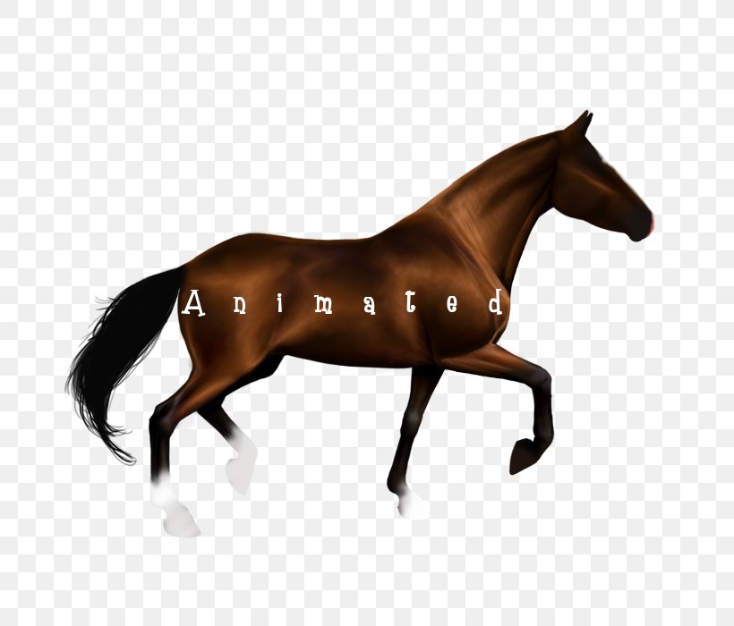 Horse Stallion Equestrian Jumping, PNG, 700x700px, Horse, Animal Figure,  Animation, Bridle, Canter And Gallop Download Free