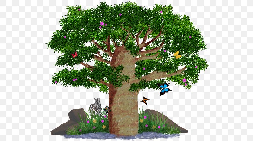 Biome Bonsai Branching, PNG, 546x458px, Biome, Bonsai, Branch, Branching, Grass Download Free