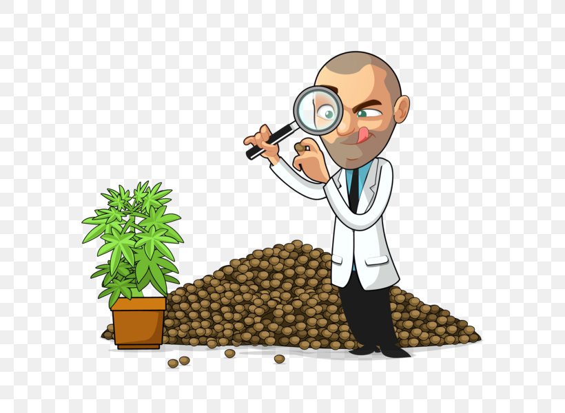 Cannabis Cultivation Clip Art, PNG, 600x600px, Cannabis, Arrival, Autoflowering Cannabis, Cannabis Cultivation, Cartoon Download Free