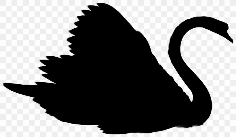 Duck Swans Goose Clip Art Silhouette, PNG, 3373x1971px, Duck, Beak, Bird, Black Swan, Blackandwhite Download Free