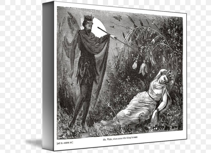 Twelfth Night A Midsummer Night's Dream Sir Toby Belch Richard III Sir Andrew Aguecheek, PNG, 650x593px, Twelfth Night, Art, Author, Black And White, Dream Act Download Free