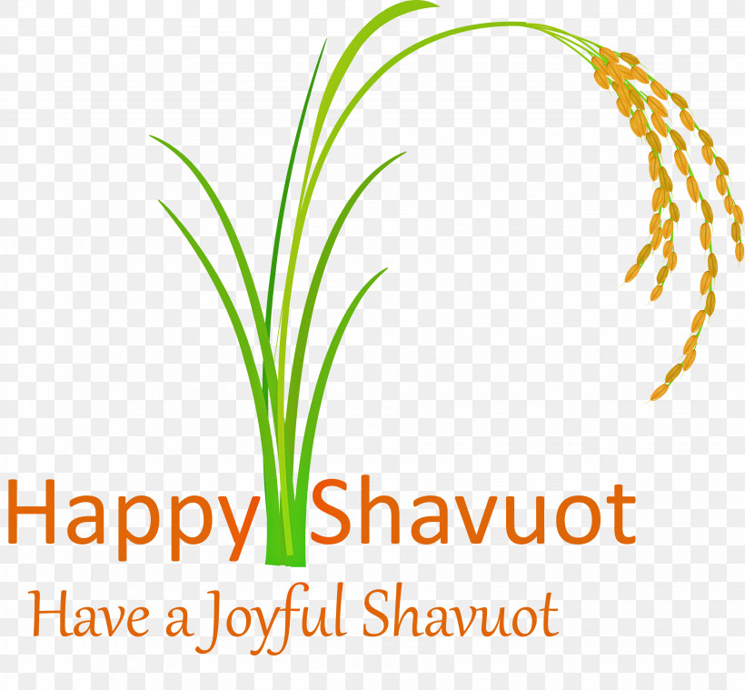 Happy Shavuot Shavuot Shovuos, PNG, 3081x2853px, Happy Shavuot, Grass, Grass Family, Leaf, Line Download Free