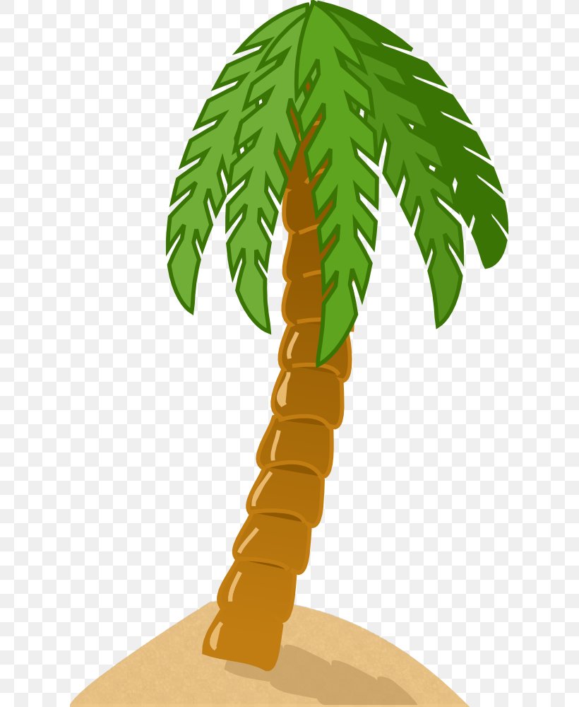 Arecaceae Drawing Clip Art, PNG, 621x1000px, Arecaceae, Arecales, Coconut, Drawing, Flowering Plant Download Free