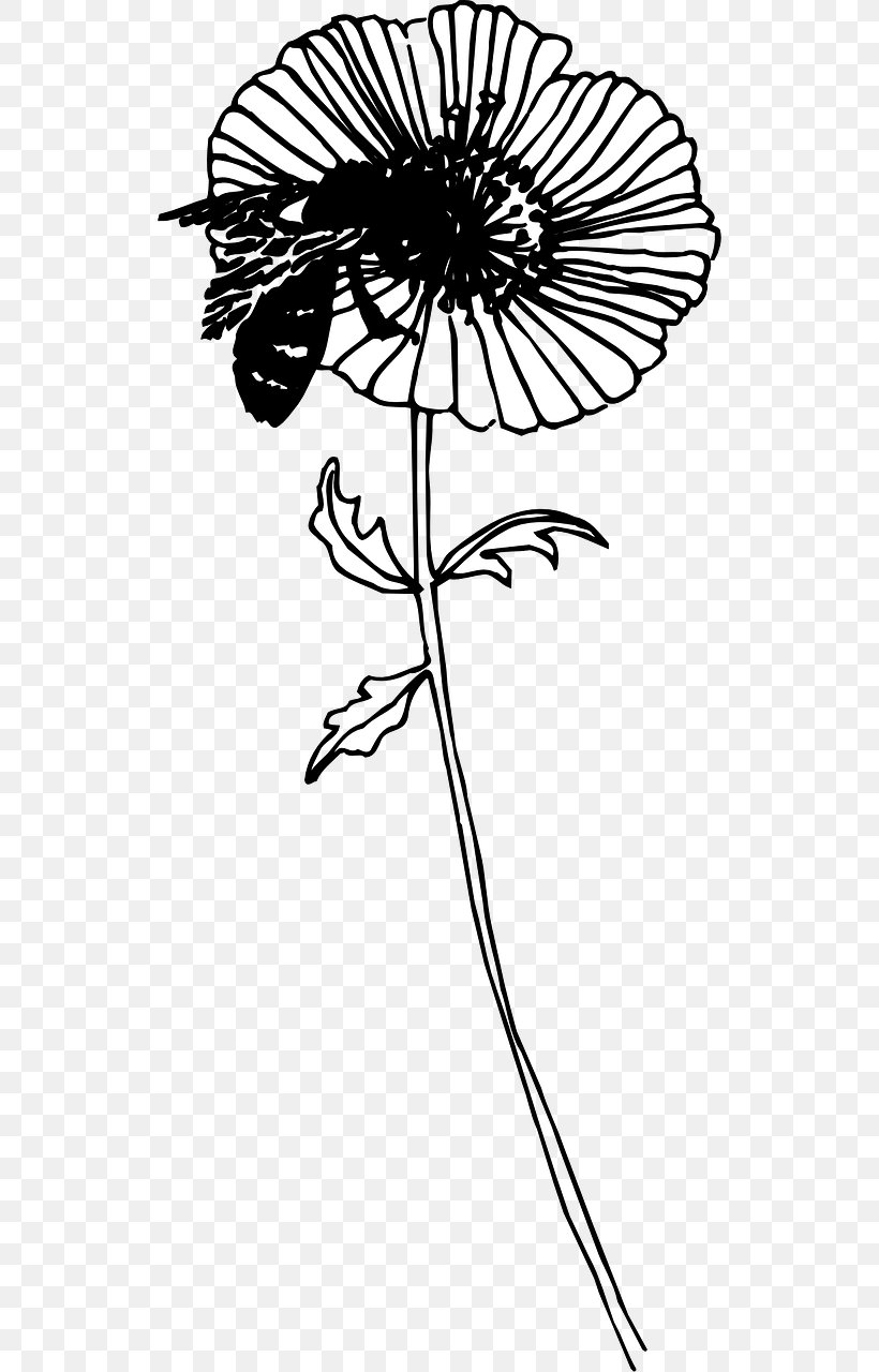 Bee Drawing Insect Floral Design Flower, PNG, 640x1280px, Bee, Artwork, Black, Black And White, Branch Download Free