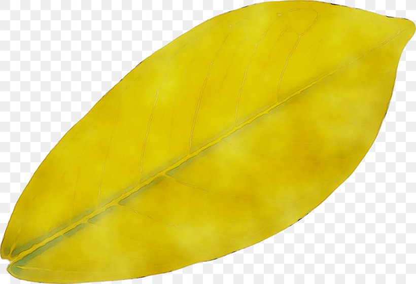 Leaf, PNG, 1433x980px, Leaf, Plant, Tree, Yellow Download Free