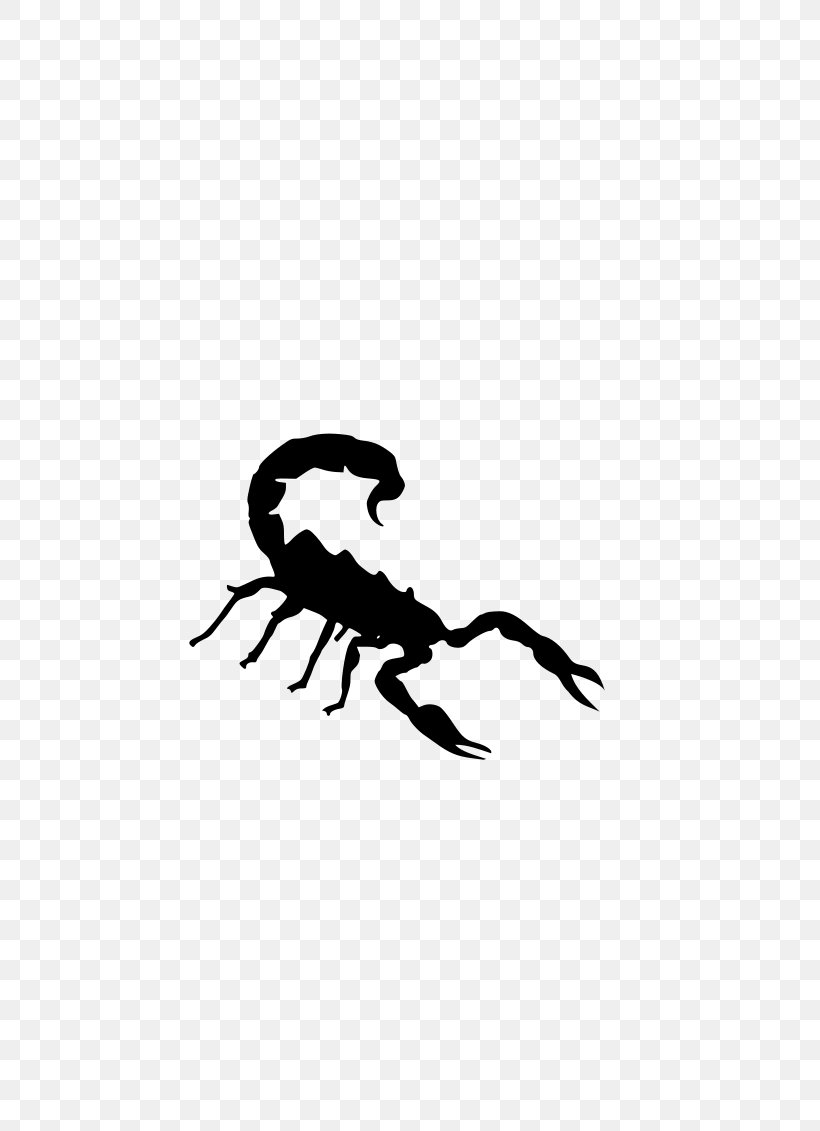 Scorpion Clip Art, PNG, 800x1131px, Scorpion, Arthropod, Artwork, Black, Black And White Download Free
