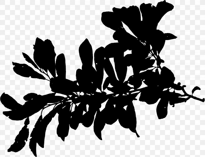 Plant Stem Silhouette Leaf Font Black, PNG, 4219x3236px, Plant Stem, Black, Blackandwhite, Botany, Branch Download Free