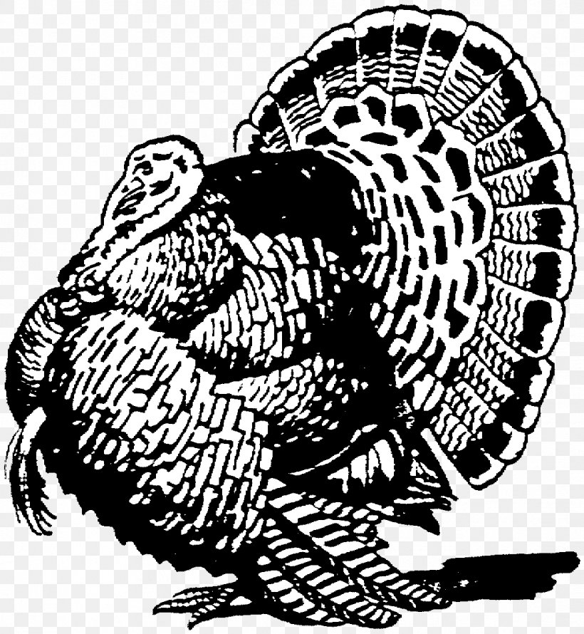 Thanksgiving Turkey Drawing, PNG, 1112x1207px, Wild Turkey, Black, Black Turkey, Blackandwhite, Drawing Download Free