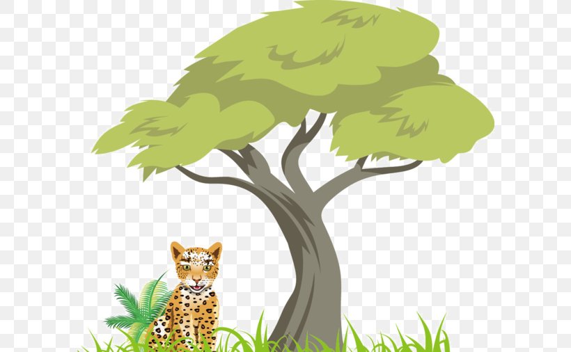 Tree Clip Art, PNG, 600x506px, Tree, Arecaceae, Beak, Big Cats, Bird Download Free