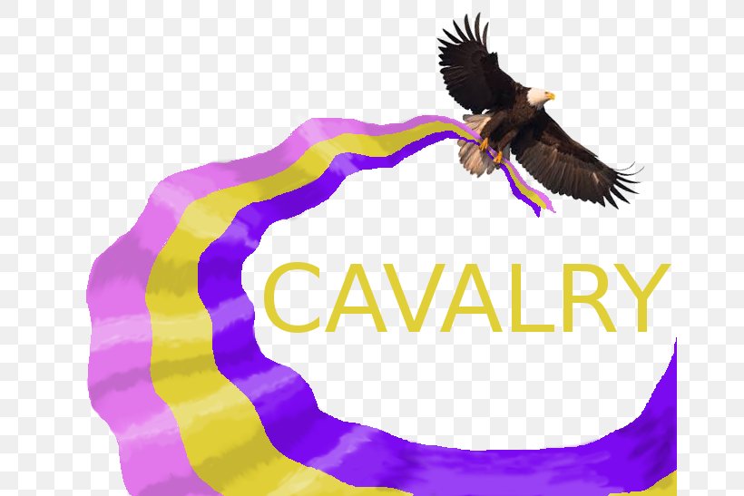 United States Cavalry Non-profit Organisation Business Education, PNG, 672x547px, Cavalry, Beak, Bird, Bird Of Prey, Business Download Free