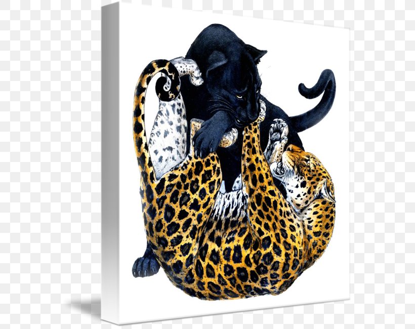 Black Panther Jaguar Cheetah Felidae Tiger, PNG, 576x650px, Black Panther, African Leopard, Big Cat, Big Cats, Carnivoran Download Free