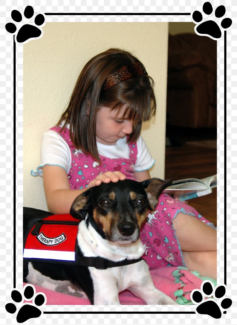 Dog Breed Puppy Animal-assisted Therapy Companion Dog, PNG, 798x1122px, Dog Breed, Animalassisted Therapy, Breed, Carnivoran, Companion Dog Download Free