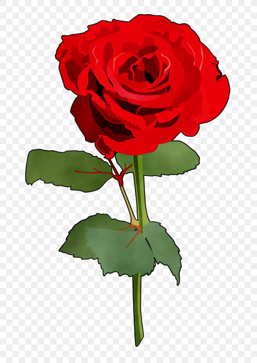 Garden Roses, PNG, 2480x3508px, Watercolor, Cabbage Rose, Cut Flowers, Floral Design, Floribunda Download Free