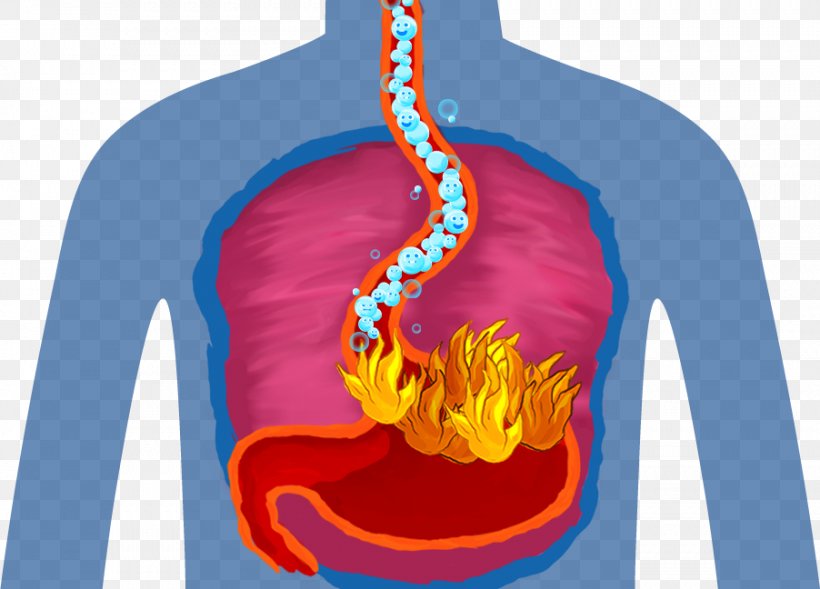 Kidney Stone Health Gout Food Uric Acid, PNG, 902x648px, Watercolor, Cartoon, Flower, Frame, Heart Download Free