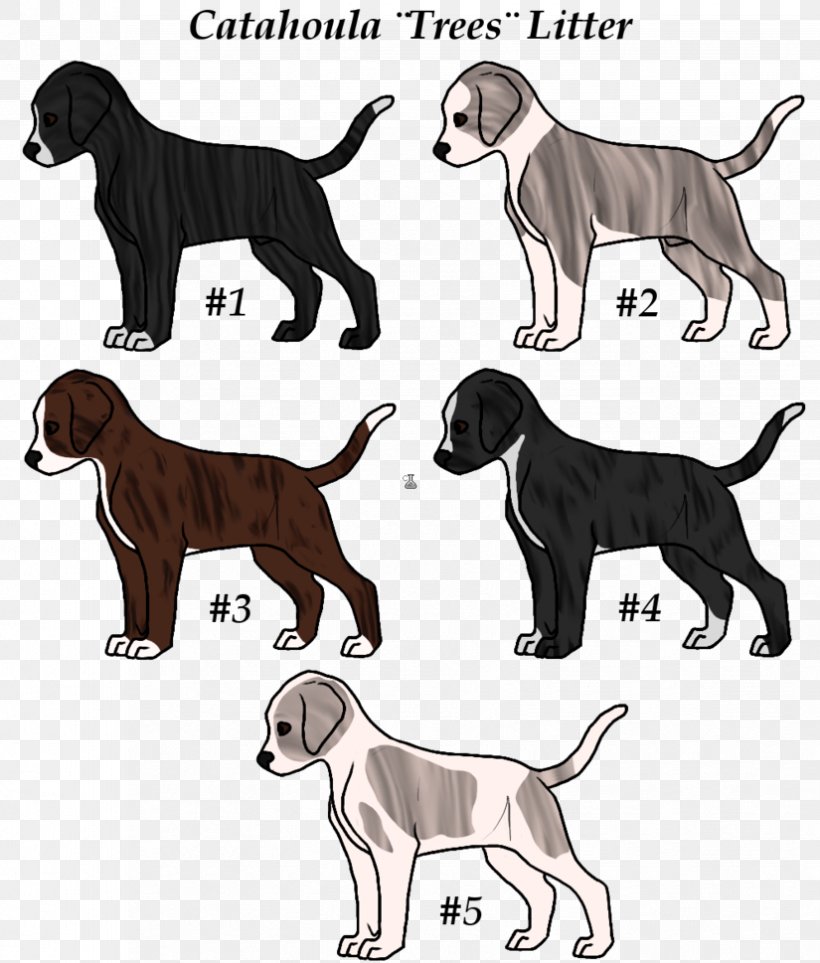 Dog Breed Great Dane Sporting Group Retriever Crossbreed, PNG, 825x969px, Dog Breed, Breed, Carnivoran, Crossbreed, Dog Download Free