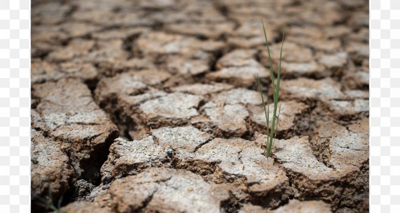 Drought Soil Heat Wave Summer Steppe, PNG, 991x529px, Drought, Grass, Heat Wave, Plant, Rock Download Free