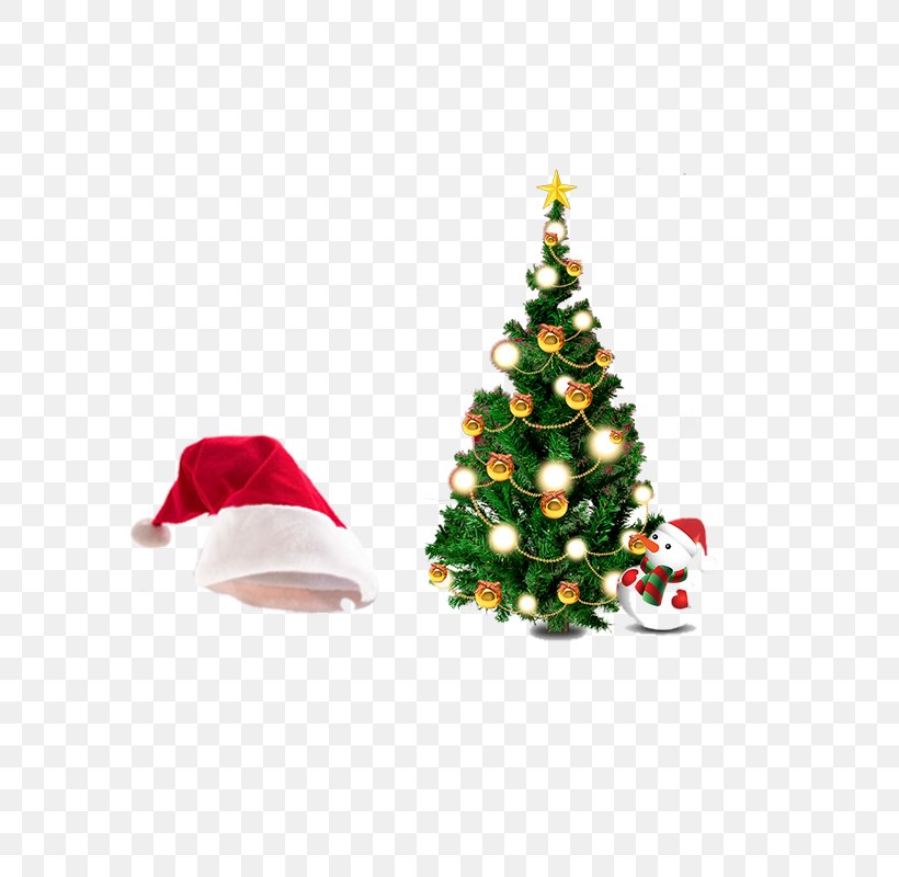 Papua New Guinea Christmas Tree Gift, PNG, 800x800px, Papua New Guinea, Christmas, Christmas Decoration, Christmas Lights, Christmas Ornament Download Free