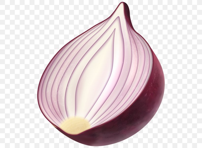 Red Onion French Onion Soup Clip Art, PNG, 530x600px, Red Onion, Bulb, Display Resolution, French Onion Soup, Onion Download Free