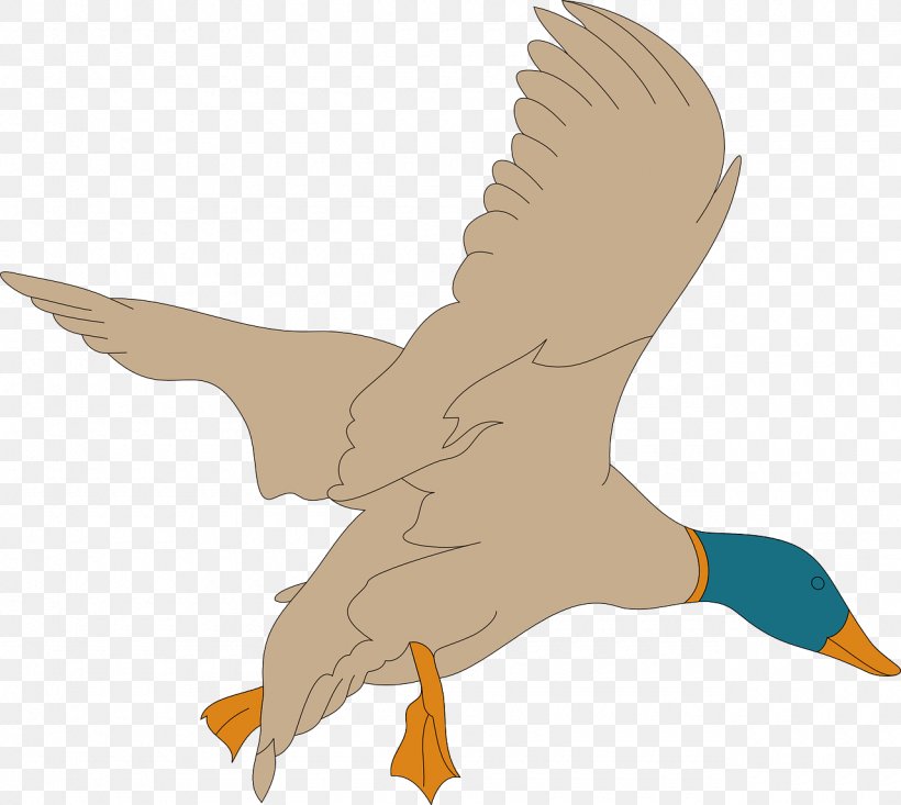American Pekin Great Notley Parish Council Mallard Duck Clip Art, PNG, 1280x1145px, American Pekin, Beak, Bird, Duck, Ducks Geese And Swans Download Free