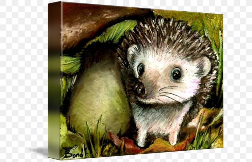 Domesticated Hedgehog Common Opossum Porcupine Gallery Wrap, PNG, 650x530px, Domesticated Hedgehog, Art, Canvas, Common Opossum, Domestication Download Free