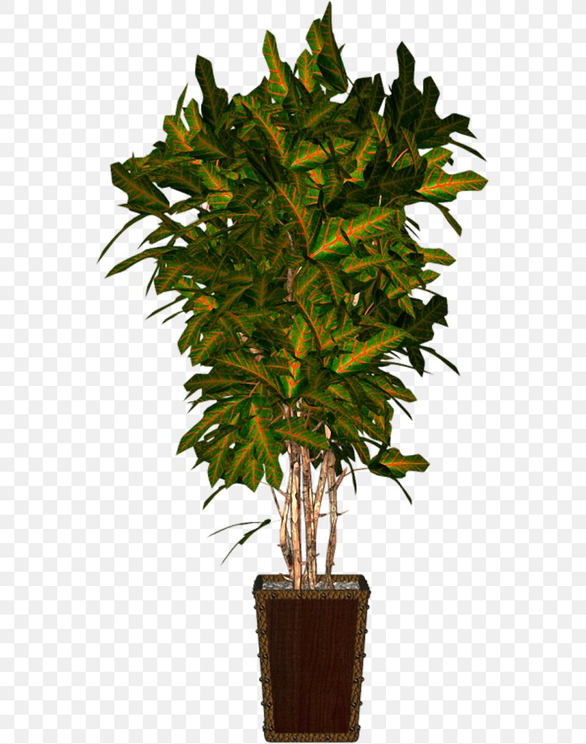 Houseplant Flowerpot Clip Art, PNG, 551x1041px, Houseplant, Blog, Bonsai, Branch, Evergreen Download Free