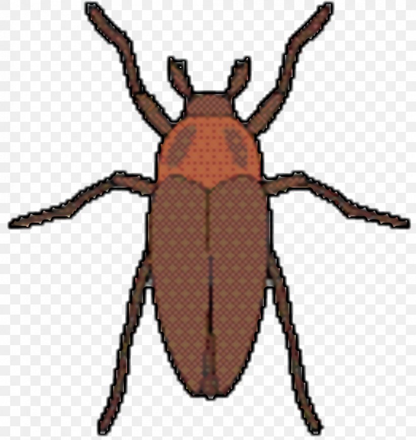 Weevil Insect, PNG, 1046x1106px, Weevil, Animal, Beetle, Blister Beetles, Darkling Beetles Download Free