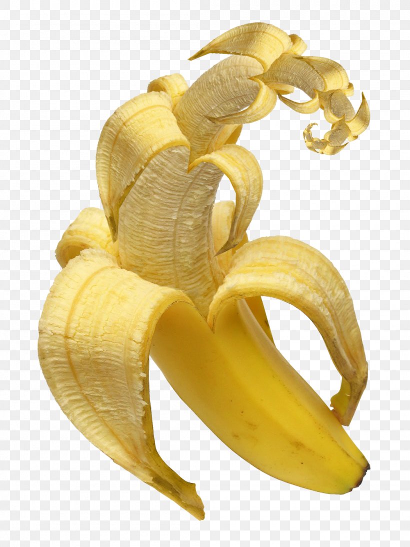 Banana Pudding Food Eating Tropical Fruit, PNG, 1050x1400px, Banana Pudding, Banana, Banana Equivalent Dose, Banana Family, Cooking Plantain Download Free