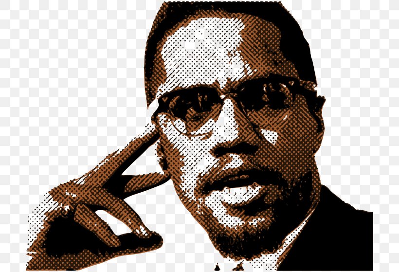 The Autobiography Of Malcolm X African-American Civil Rights Movement African American Hajj, PNG, 800x559px, Malcolm X, African American, Assassination, Autobiography Of Malcolm X, Black Power Download Free