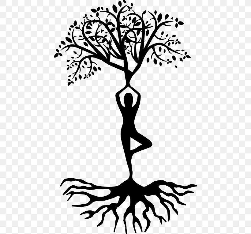 Tree Root, PNG, 468x764px, Vriksasana, Asana, Ashtanga Yoga Tree Pesaro, B K S Iyengar, Blackandwhite Download Free