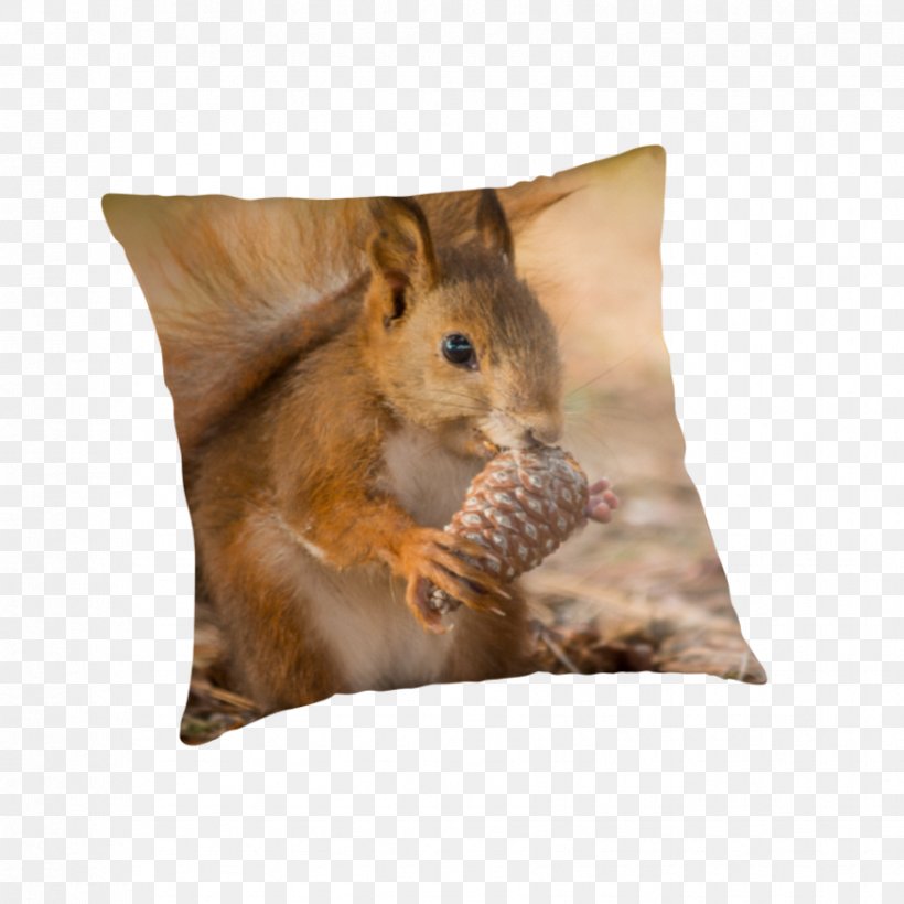 Chipmunk Throw Pillows Cushion Whiskers, PNG, 875x875px, Chipmunk, Cushion, Fauna, Fur, Mammal Download Free